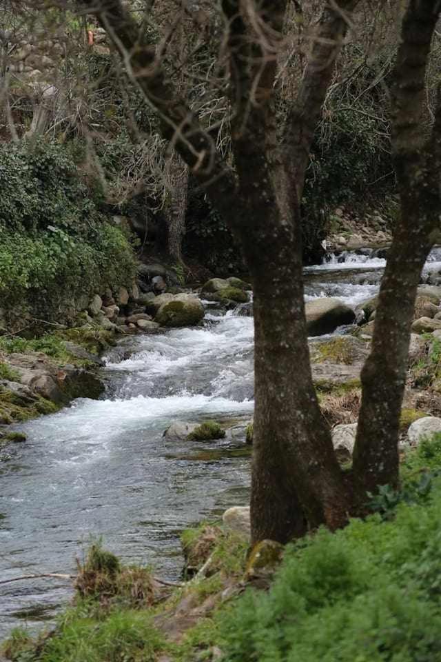 El Olivar Agloipe Ahigal Trcc 외부 사진